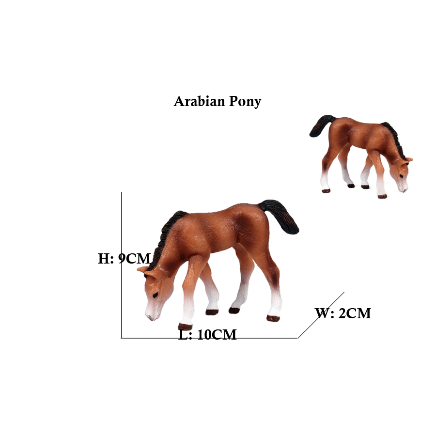 หุ่นม้าจำลองแบบอาหรับของเล่นรู - Model Kit Horse บทวิจารณ์และราคา