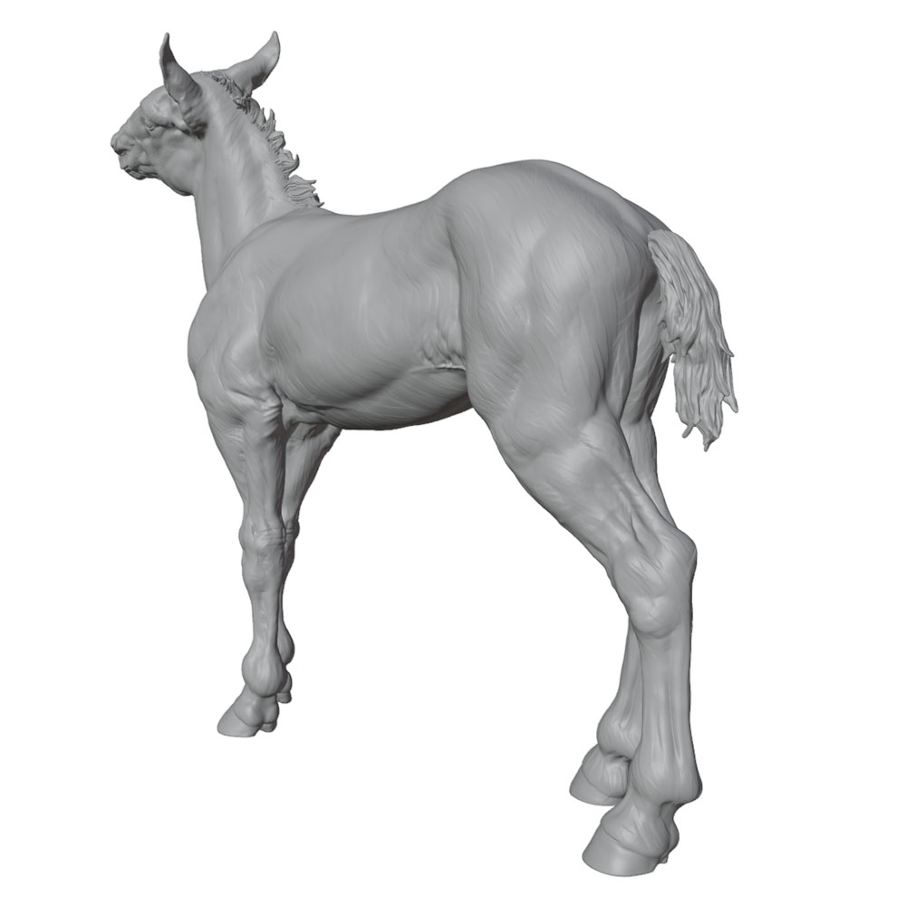 การพิมพ์ที่มีรายละเอียดสูง, รู - Model Kit Horse บทวิจารณ์และราคา