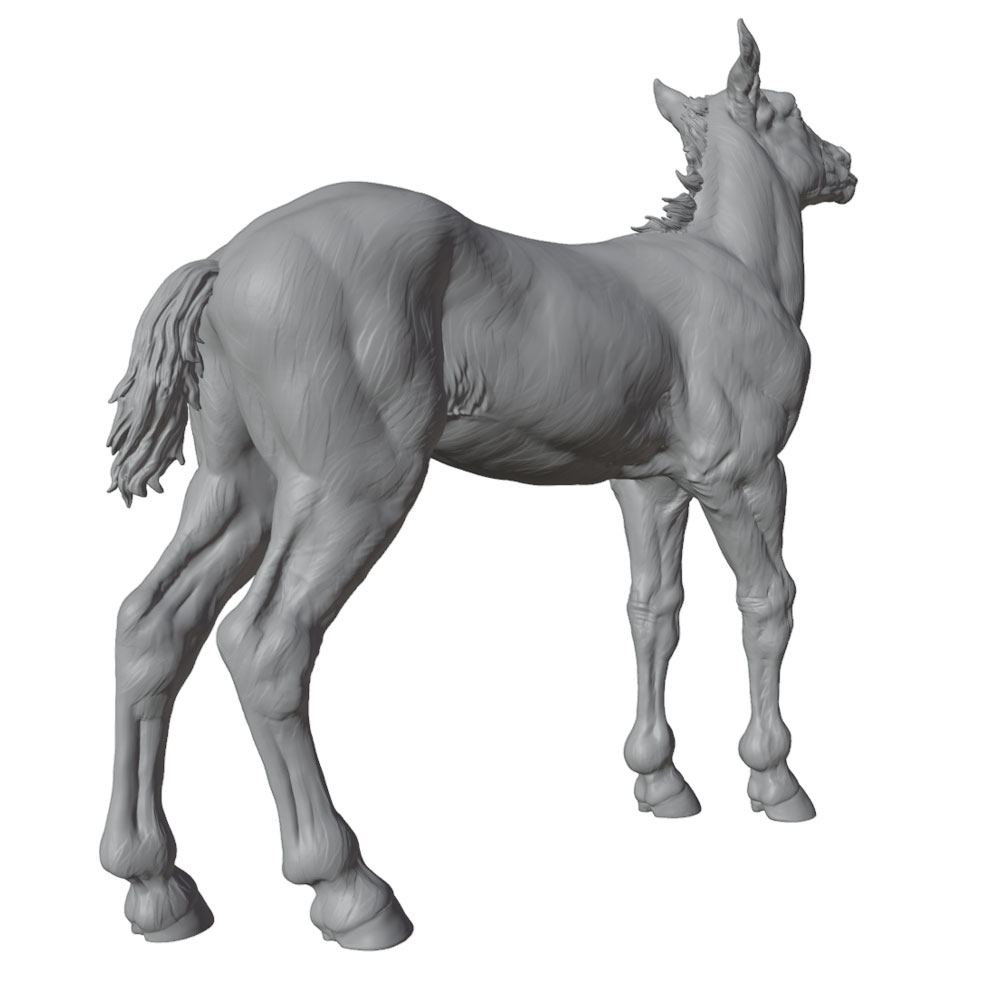 การพิมพ์ที่มีรายละเอียดสูง, รู - Model Kit Horse บทวิจารณ์และราคา