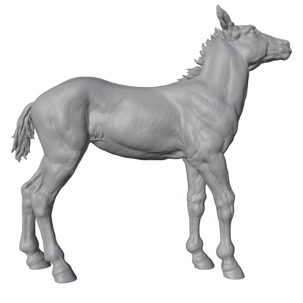 การพิมพ์ที่มีรายละเอียดสูง, รู - Model Kit Horse บทวิจารณ์และราคา