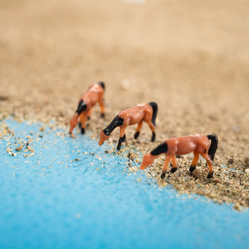 ขนาด 1:150 Miniature Horse รุ่ - Model Kit Horse บทวิจารณ์และราคา